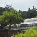 입장료 무료! 대부도 가볼만한곳 BEST [대부도 바다향기수목원] 솔직 방문 후기