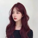 26도헤어시흥은계점