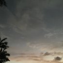 정걸농장 | [+29(1/11)수] 오늘은 나의 집을 소개하려고~