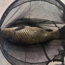 어썸 실내낚시카페 | 인천 어썸실내낚시카페