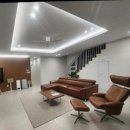 라비드 포레 이미지