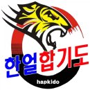 용인대한얼합기도 이미지