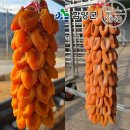 청춘농원 이미지