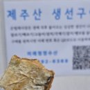 제주은빌레휴양펜션