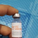 신흥종로약국 이미지