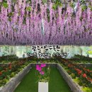 광주광역시 시립수목원 B동 | 광주시립수목원 신비한 열대정원 수수께기 8월 방문후기