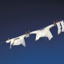 가나안세탁 이미지