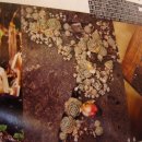 꿈꾸는정원 이미지