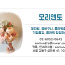 모리앤토