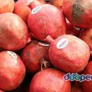 자연동산어린이집 이미지