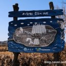 제월 | 곡성 가볼 만한 곳 곡성 데크길 제월섬 강아지 동반 가능