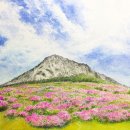 아침햇살 이미지