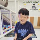 퍼니웨일