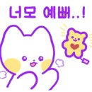 달루나캣츠 고양이전문 평택점 이미지