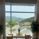 카페소리나무