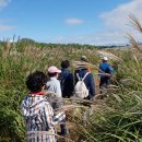 하늘공원 이미지