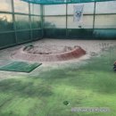 대아골프연습장 네이버블로그