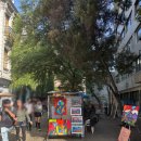 벨라스(Bellas) | 산티아고 감성 거리 여행_라스타리아(Lastarria) 거리