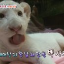 백사농장 이미지