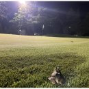 스포랜드 이미지