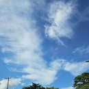 대진축산 이미지