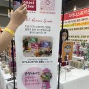 [궁디팡팡 캣페스타] 24.5.31-6.2 at센터 궁팡 서울 후기(smack, 디어니스트키친, 지위픽, 스크래쳐...