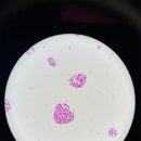 엠디케어 이미지