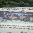 2026년 8월 16일 A&amp;D&amp;S팀 봉사활동(탐방로 물제거 작업 및 배수로 정화활동) 이미지