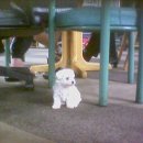 대성당구장 이미지