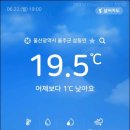강산낚시 | 오랜만에 와본 태화강 루어 낚시 포인트 with. 바낙스 아이오닉스 인쇼어 (울산 울주군 태화강 대암교 앞)