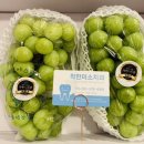 샤인치과기공소 이미지