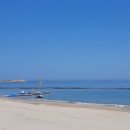 왕산골숲속 이미지