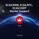엘사(ELSA)