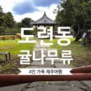 부영아파트 사거리(법원사거리) - 우 | 동쪽역사여행 제주도련동 귤나무류 재래귤의 흔적