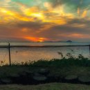 궁평펜션 이미지