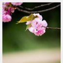 엄마와아들 이미지