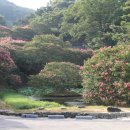 명옥헌원림 백일홍꽂 이미지