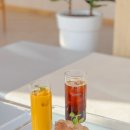 레미니센스 | 춘천 소양강 카페 소양강댐 애견동반 가능한 레미니센스