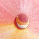 [제 10주차] 브랜드디자인_제품선택