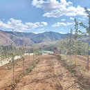 챔피언공인중개사사무소 이미지