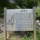 7월 정기산행-강원도 정선군 남면 유평리 고병계곡 이미지