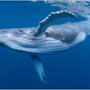 즐거운유치원 이미지