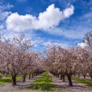 my drink museum 이미지