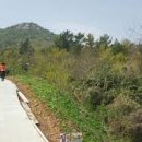 도봉-도봉-서울도봉-2395 이미지