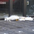 화성세차장