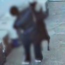 나무애견유치원 이미지