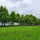 구구리책다방 이미지