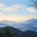 수색대골 이미지