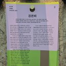 화랑유치원 | 안산 실내 가볼만한곳 경기도미술관 우리의 여름에게 무료전시후기