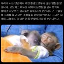 듀